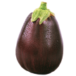 Aubergine
