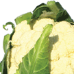 Choufleur