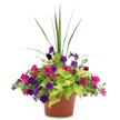 Pot patio 14