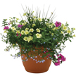 Pot patio 16
